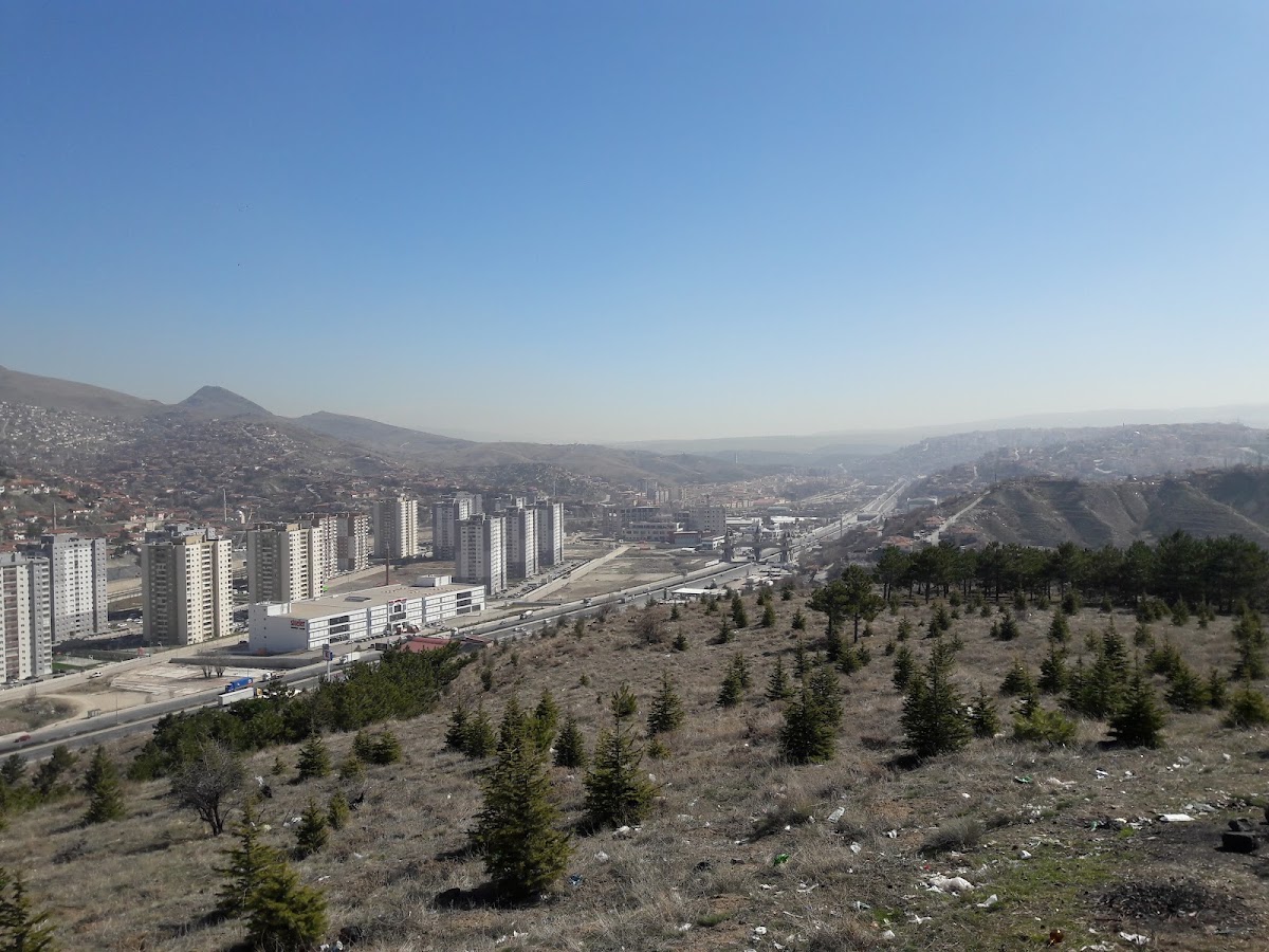 Mamak Belediyesi Kent Ormanı Rekreasyon Alanı