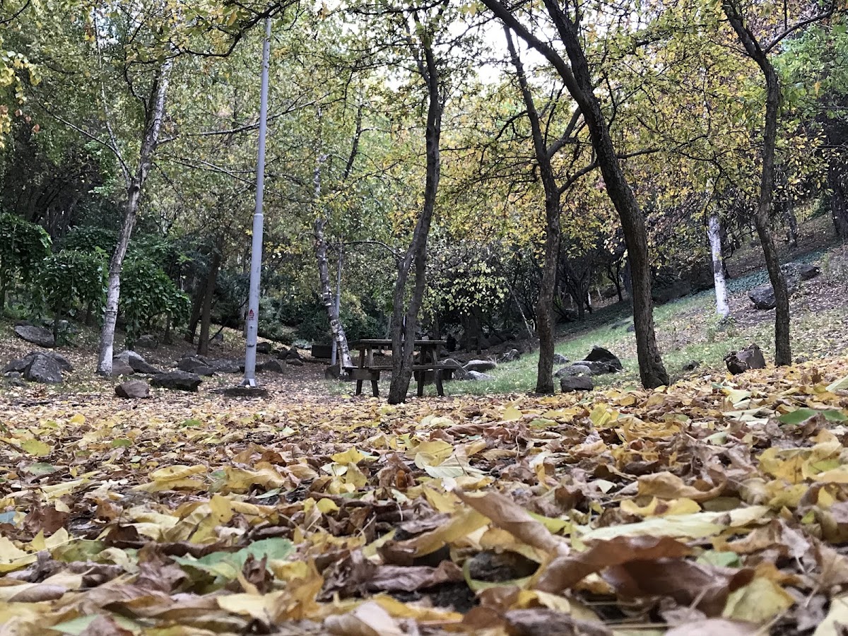 Portakal Çiçeği Parkı