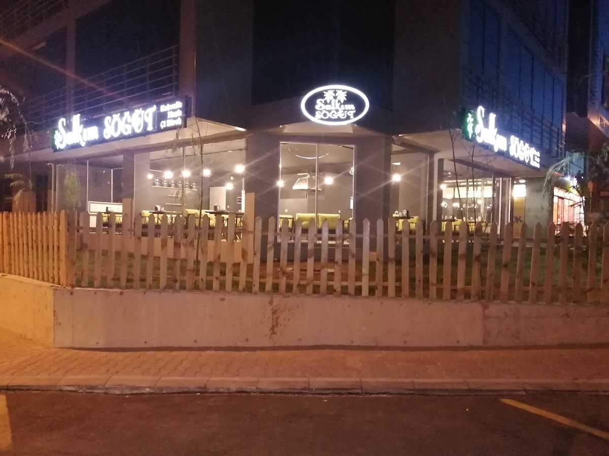 Salkım söğüt kahvaltı mantı çibörek