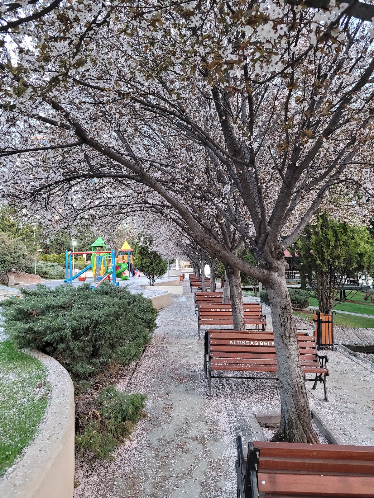 Cemre Parkı