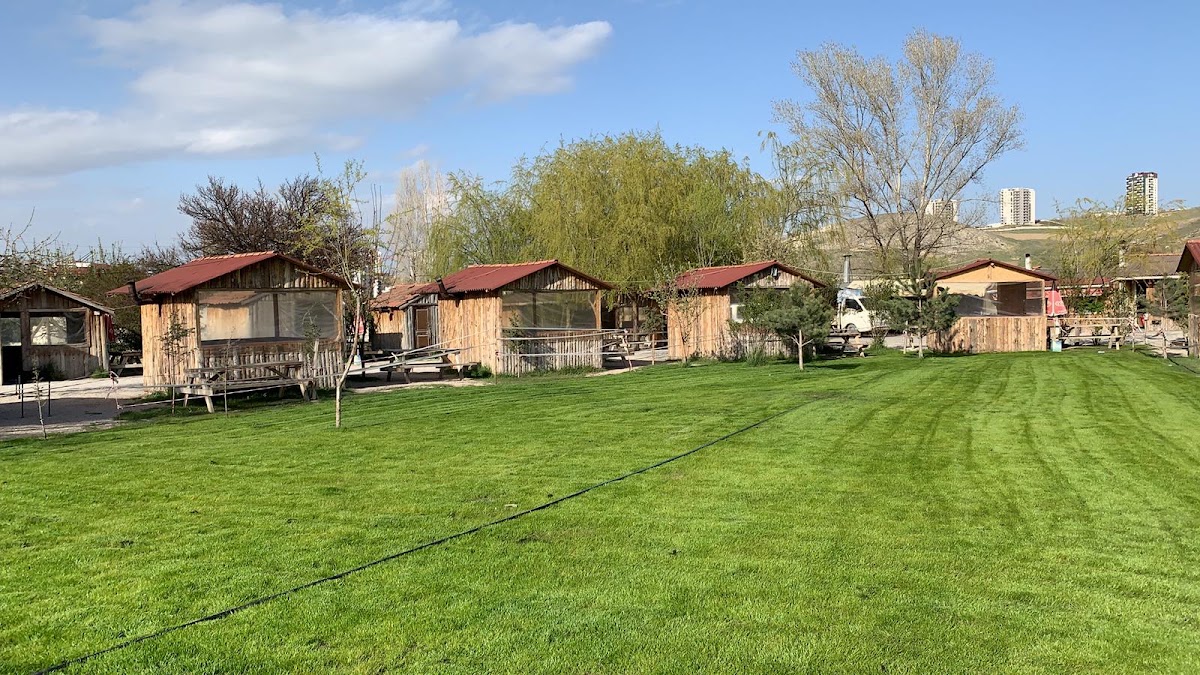 Lazların Yeri Alacaatlı Aile Piknik Alanı