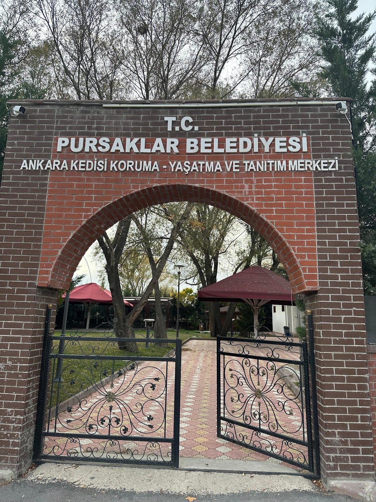 Ankara Kedisi Koruma Yaşatma Ve Tanıtma Merkezi
