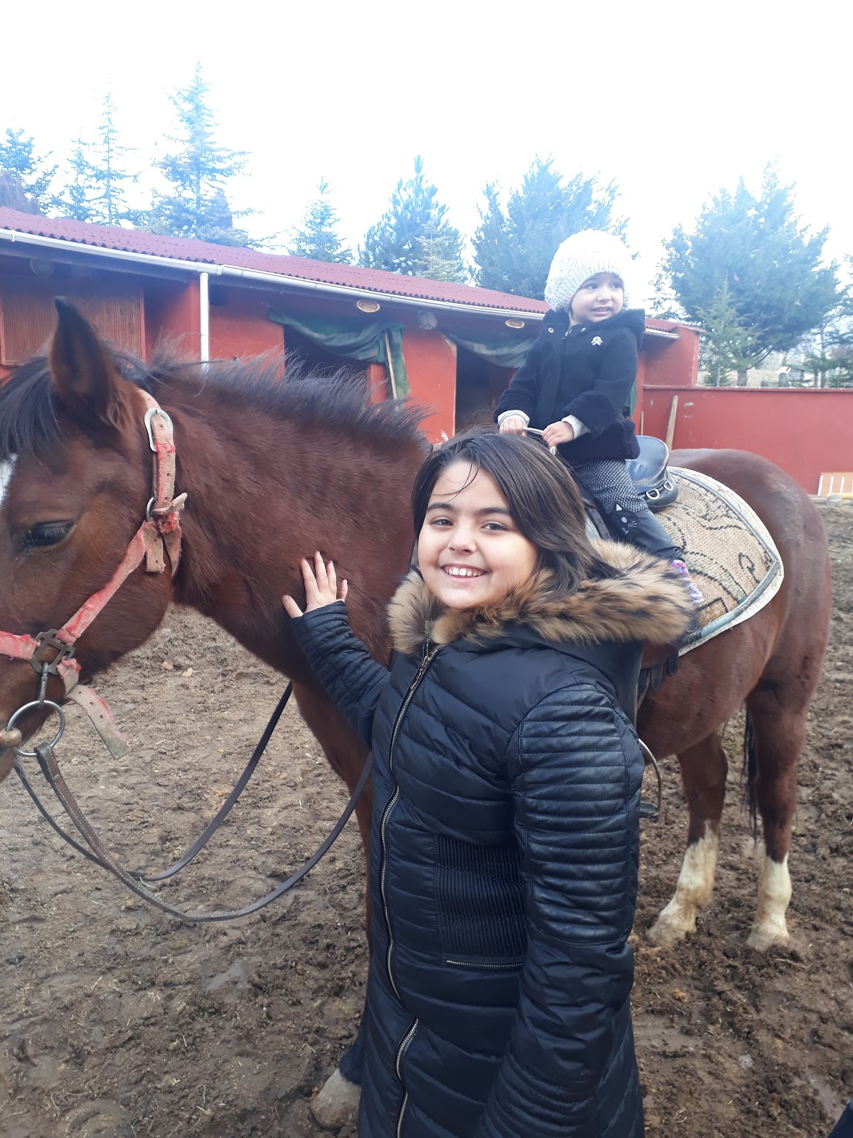 Safari At Çiftliği