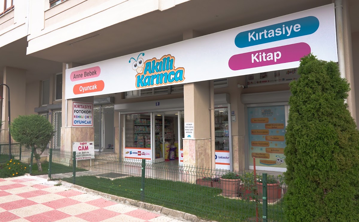 Akıllı Karınca