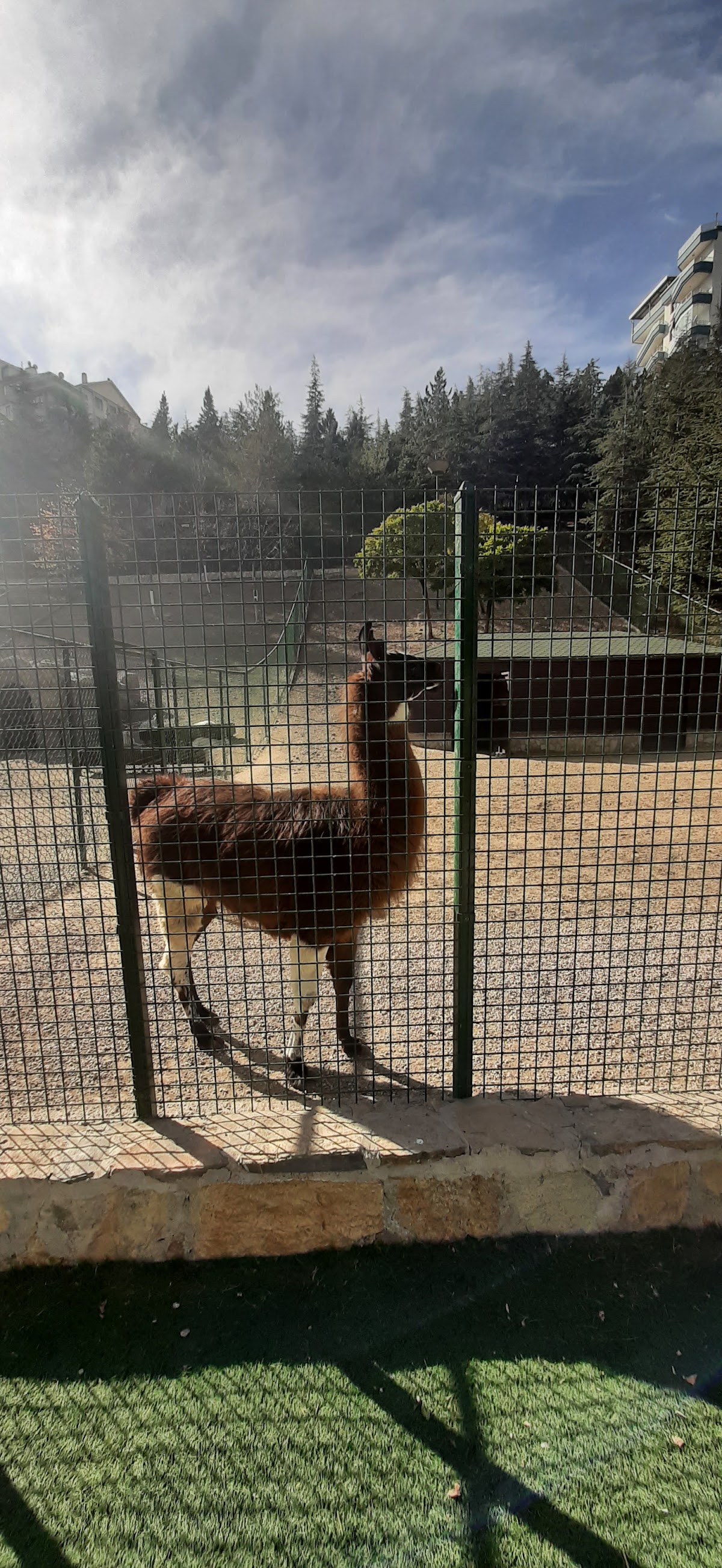 Ceylanlar Parkı