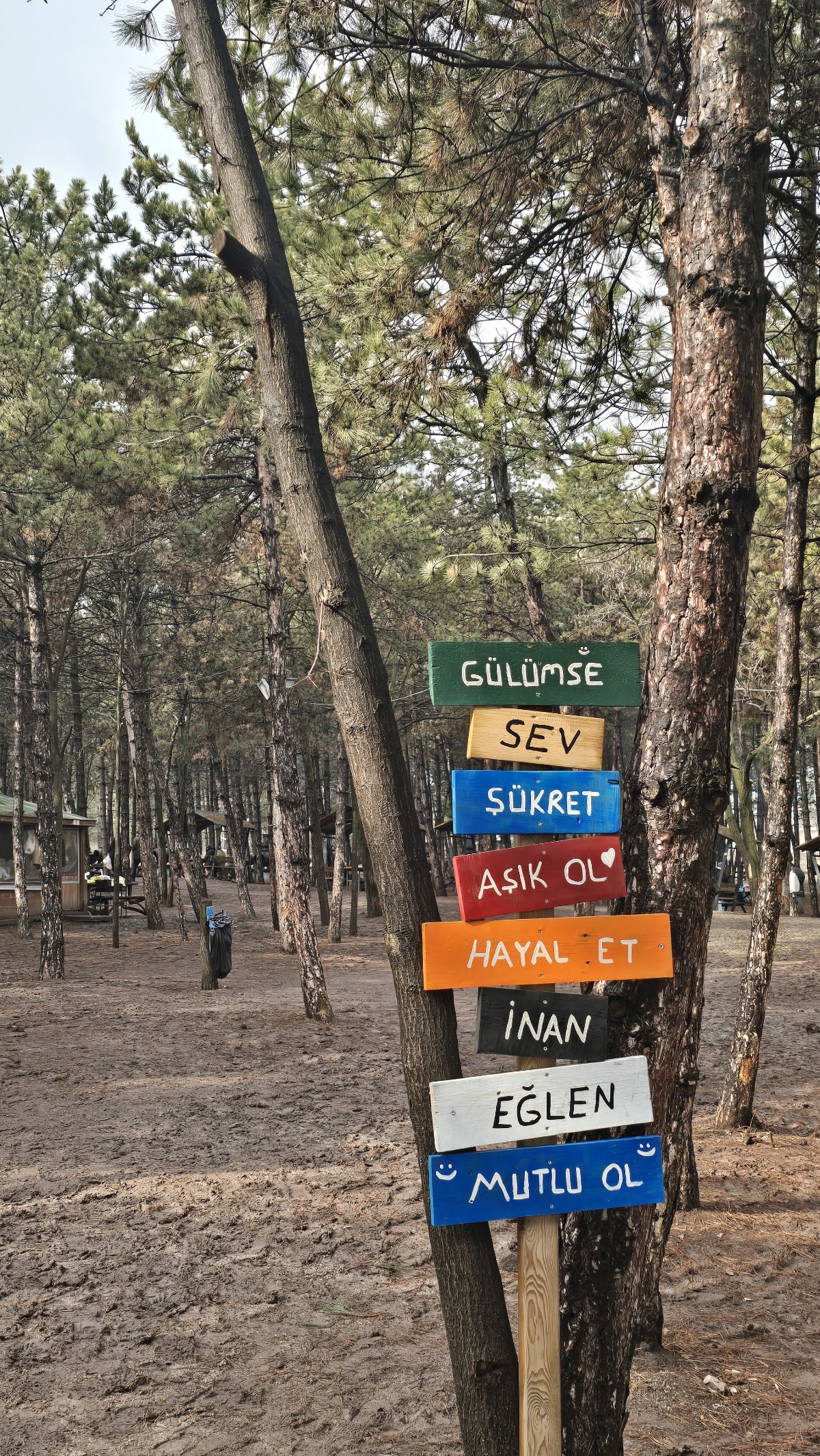 Hacıkadın Mesire Alanı